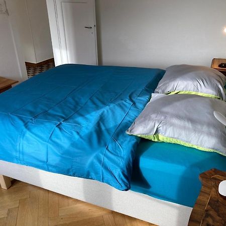 Joli 2 Pieces Dernier Etage, Lausanne Centre Екстериор снимка