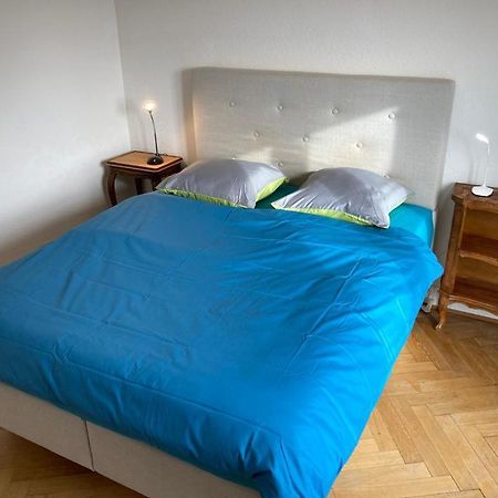 Joli 2 Pieces Dernier Etage, Lausanne Centre Екстериор снимка
