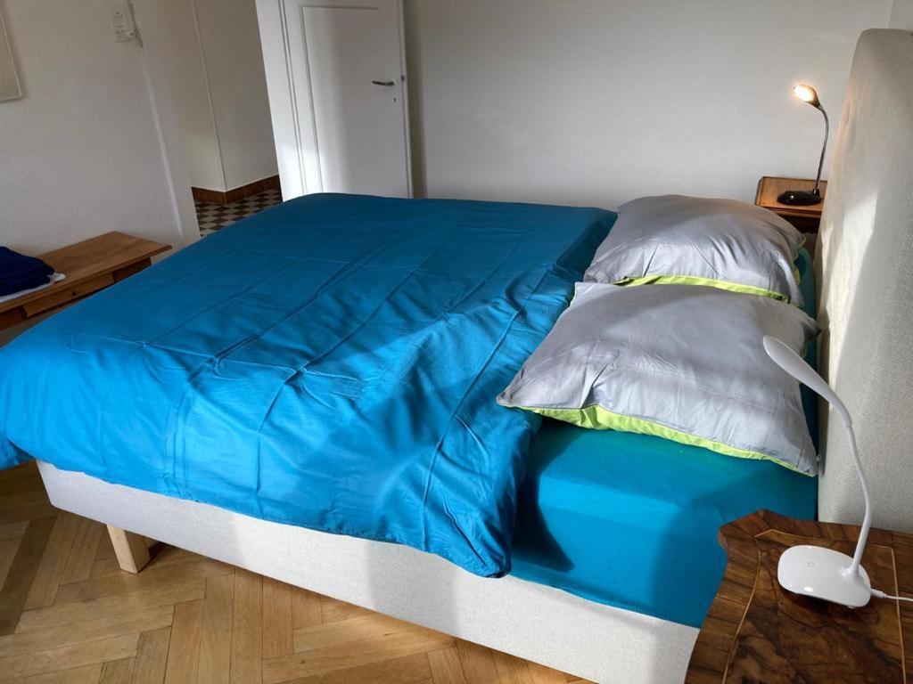 Joli 2 Pieces Dernier Etage, Lausanne Centre Екстериор снимка