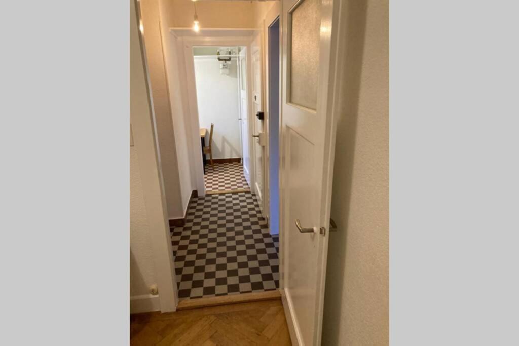 Joli 2 Pieces Dernier Etage, Lausanne Centre Екстериор снимка