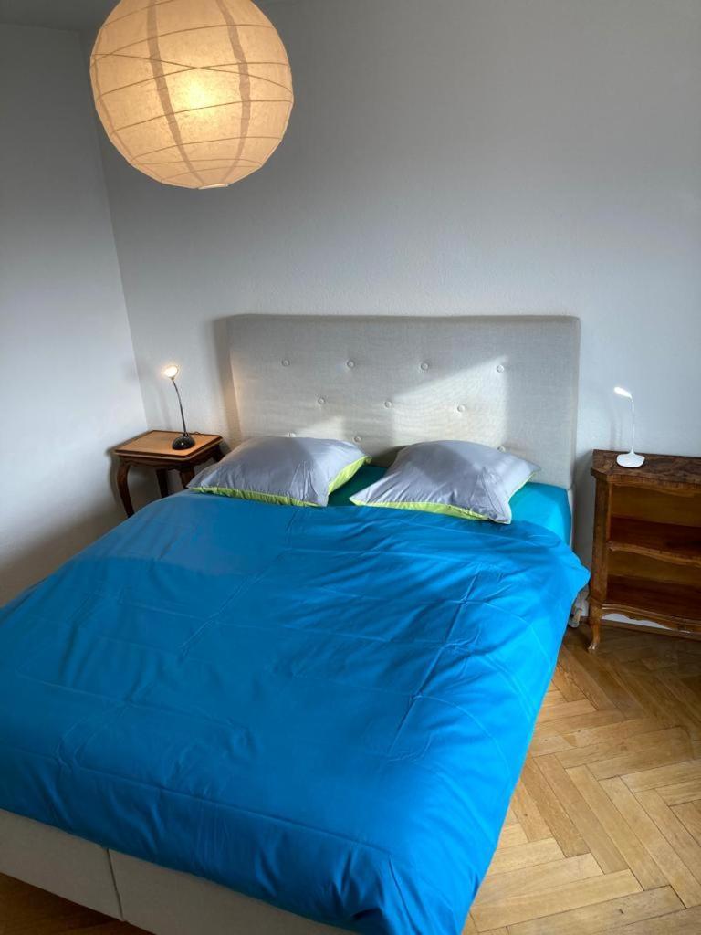 Joli 2 Pieces Dernier Etage, Lausanne Centre Екстериор снимка