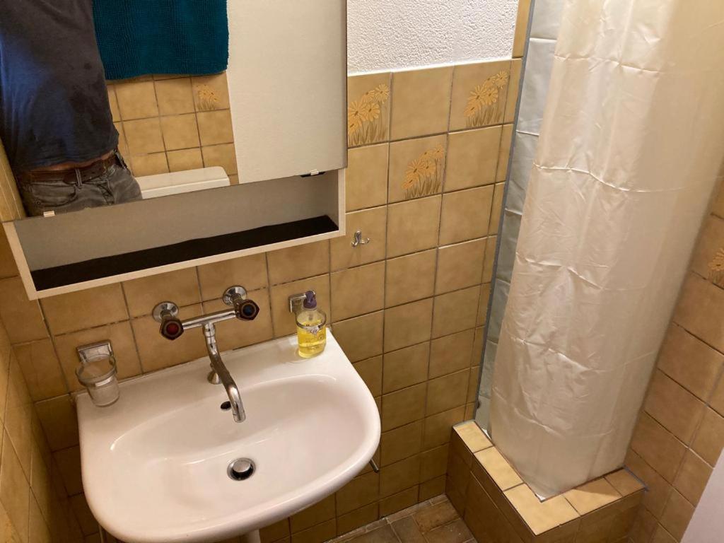 Joli 2 Pieces Dernier Etage, Lausanne Centre Екстериор снимка