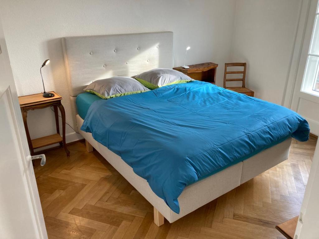 Joli 2 Pieces Dernier Etage, Lausanne Centre Екстериор снимка