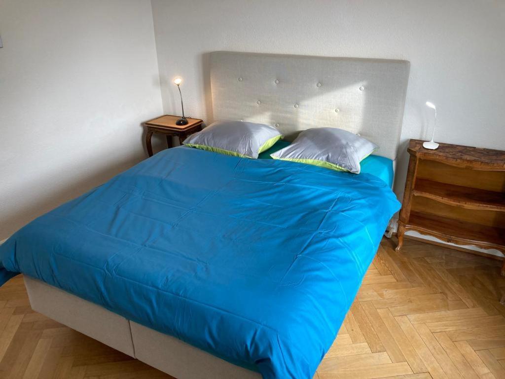 Joli 2 Pieces Dernier Etage, Lausanne Centre Екстериор снимка